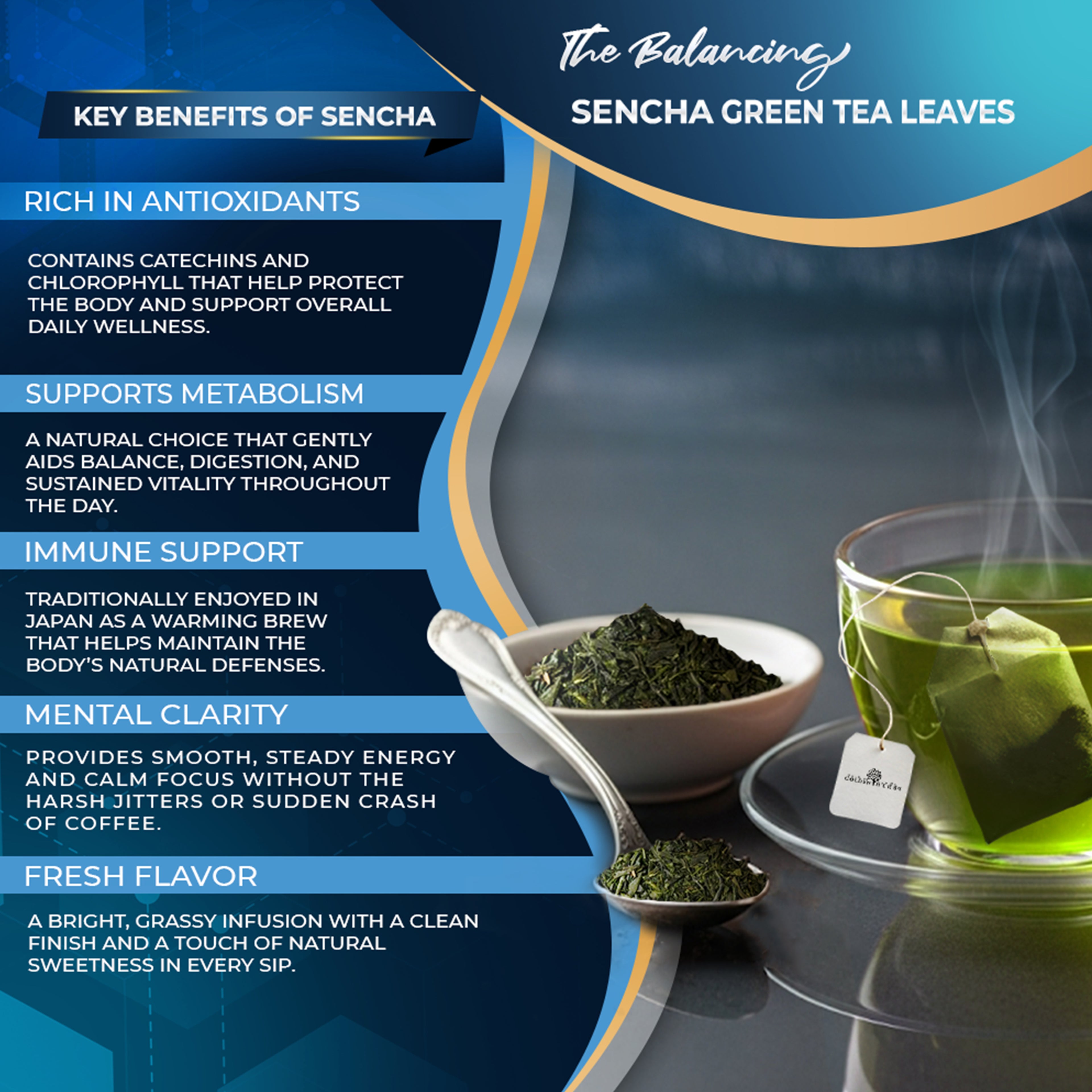 Golden Herbs USDA Organic Japanese Sencha Green Tea – 30 Tea Bags – Fresh & Smooth – Packed in USA