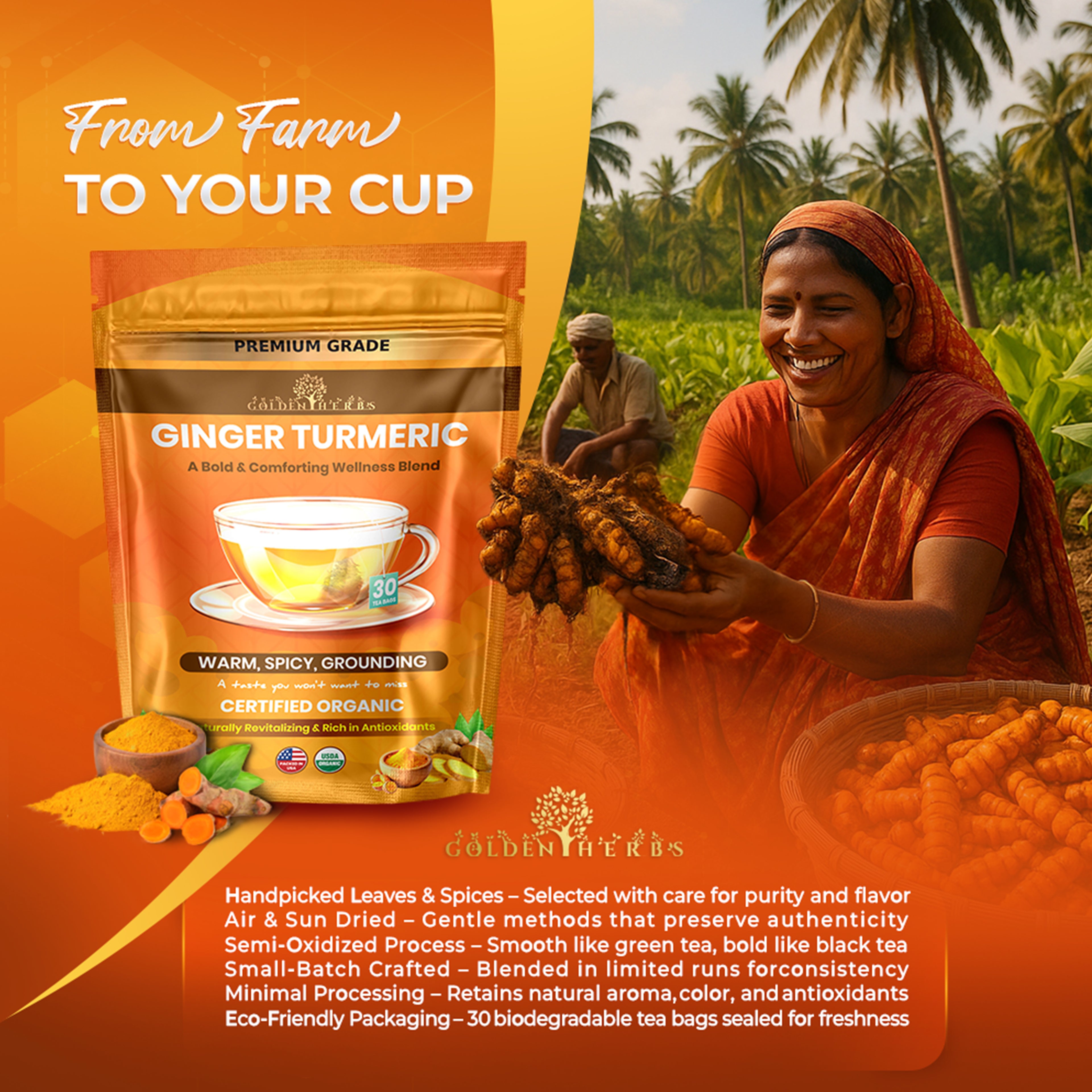 Golden Herbs USDA Organic Ginger Turmeric Herbal Tea – 30 Tea Bags – Warming, Anti-Inflammatory & Immune Support – Packed in USA