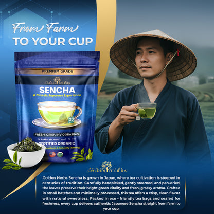 Golden Herbs USDA Organic Japanese Sencha Green Tea – 30 Tea Bags – Fresh &amp; Smooth – Packed in USA